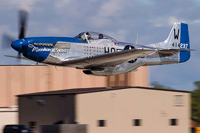 P51-D Mustang - Moonbeam McSwine